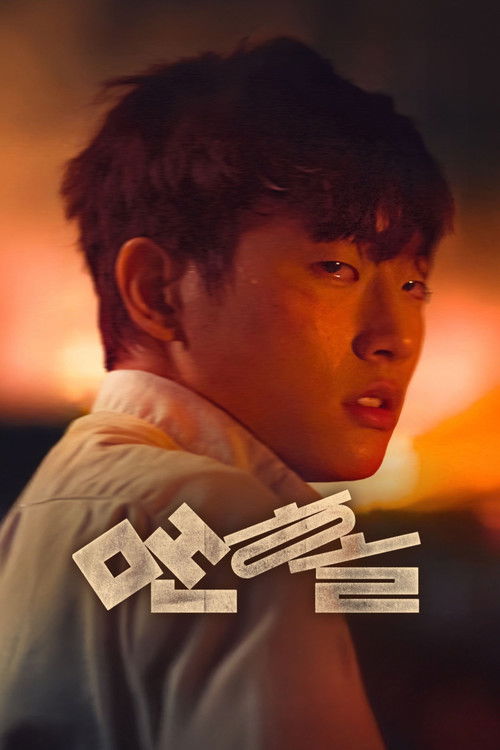 Póster de 맨홀