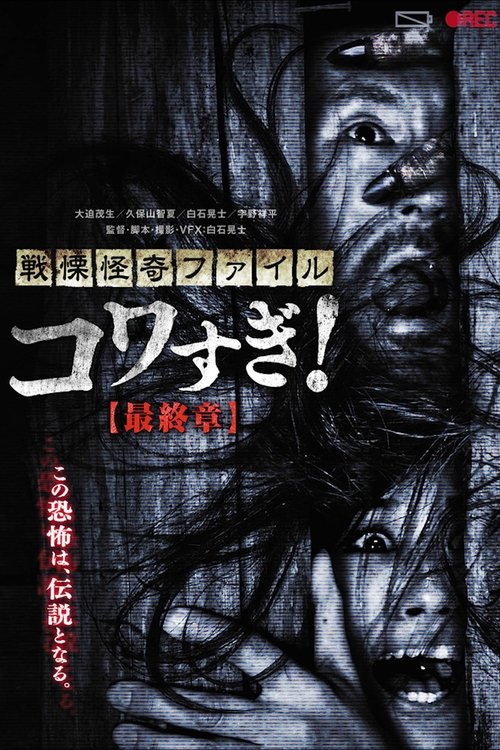 Póster de 戦慄怪奇ファイル コワすぎ！最終章
