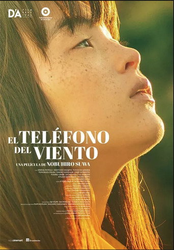Póster de Voices in the Wind