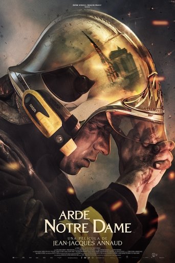 Póster de Notre-Dame: Desastre en París