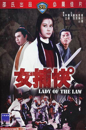 Póster de 女捕快