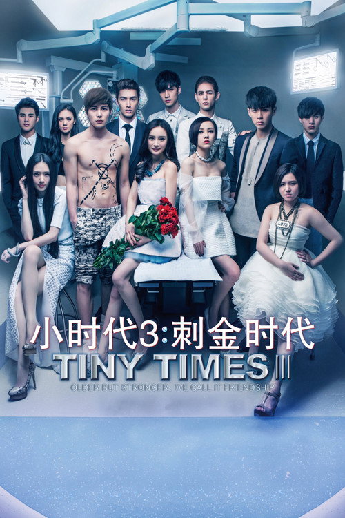 Póster de 小时代3：刺金时代