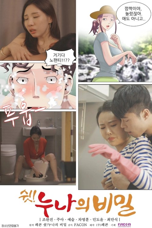 Póster de 쉿!누나의 비밀