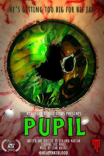 Póster de Pupil