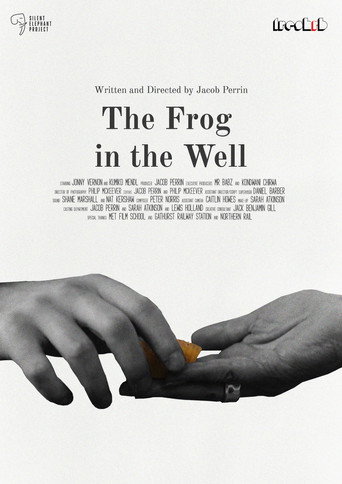 Póster de The Frog in The Well