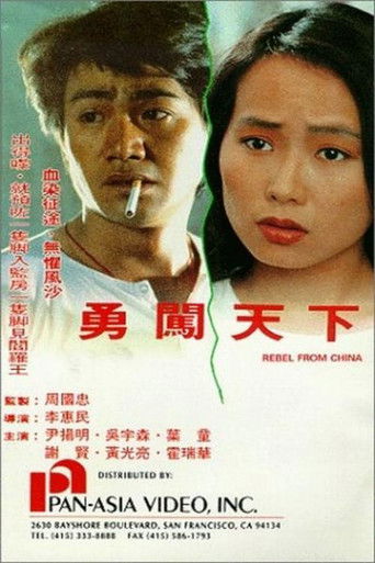 Póster de 勇闖天下