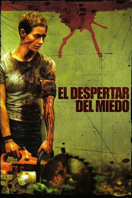 Póster de El despertar del miedo