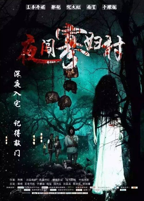 Póster de 夜闯寡妇村