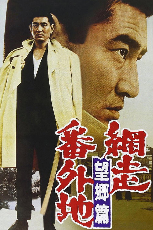 Póster de 網走番外地　望郷篇