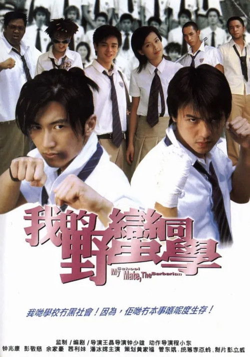 Póster de 我的野蠻同學