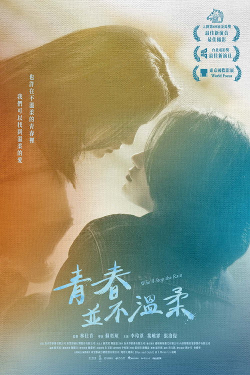 Póster de 青春並不溫柔