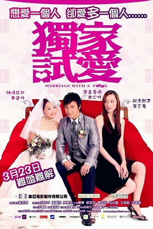 Póster de 獨家試愛
