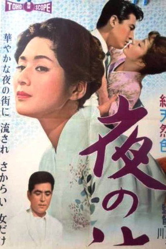Póster de 夜の流れ