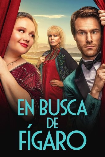 Póster de En busca de Fígaro