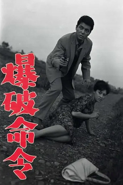 Póster de 爆破命令