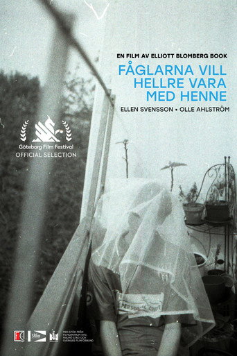 Póster de Fåglarna vill hellre vara med henne