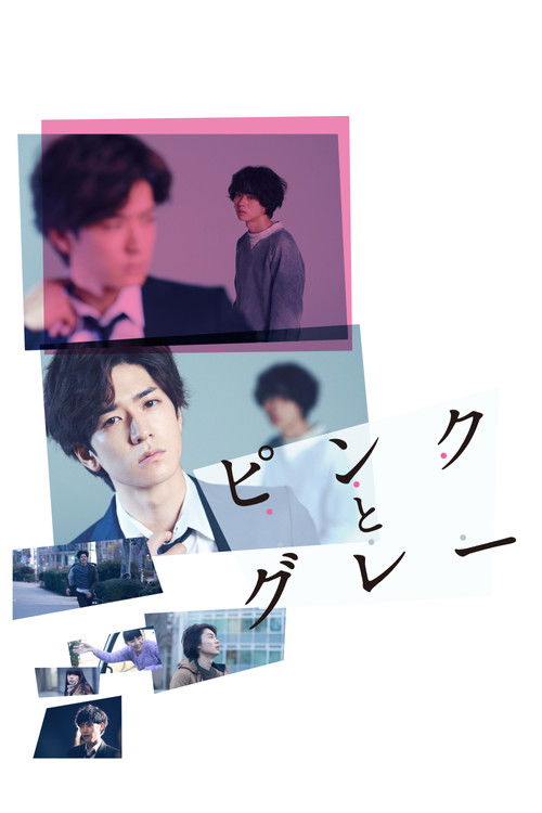 Póster de ピンクとグレー