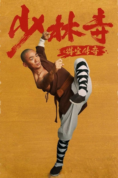 Póster de 少林寺之得宝传奇