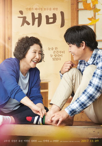 Póster de 채비