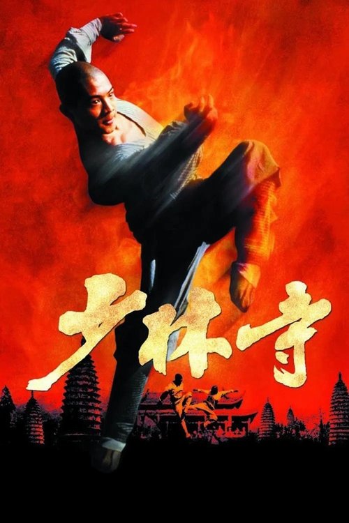 Póster de 少林寺