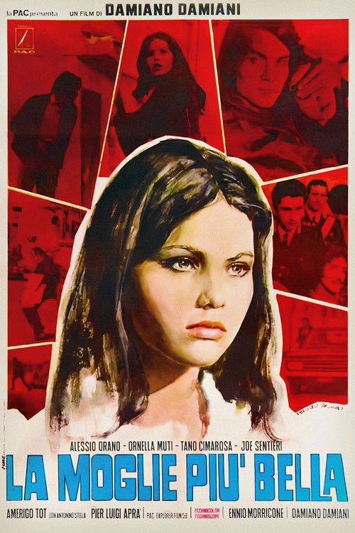 Póster de La esposa más hermosa
