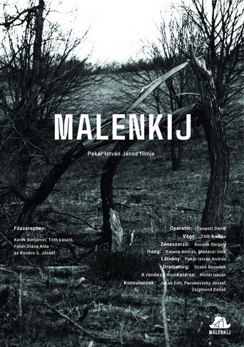 Póster de Malenkij