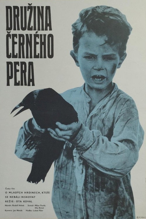 Póster de Družina černého pera