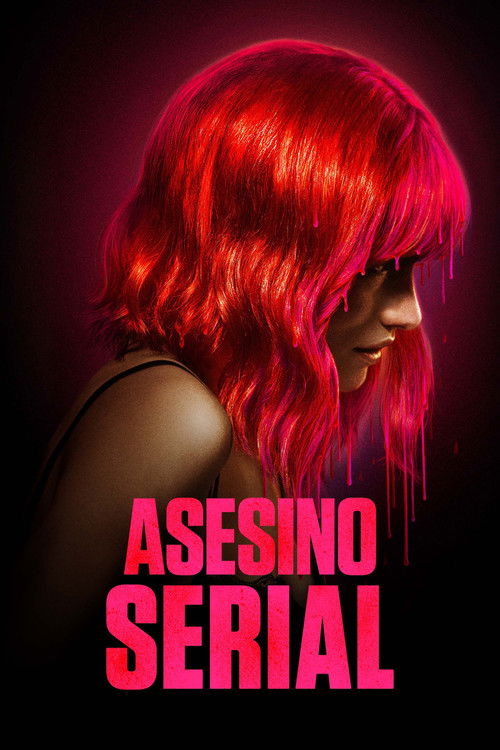 Póster de Asesino serial