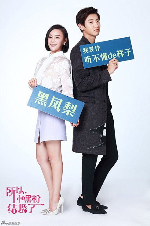 Póster de 所以 , 我和黑粉结婚了