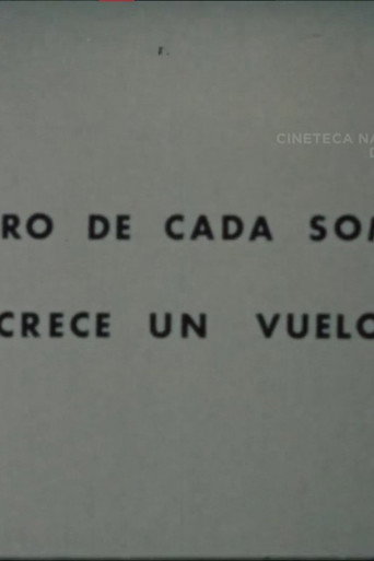 Póster de Dentro de Cada Sombra Crece un Vuelo