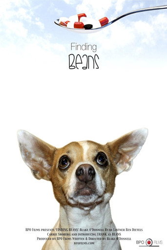 Póster de Finding Beans
