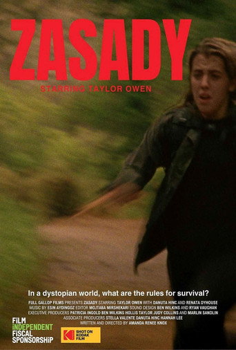 Póster de Zasady