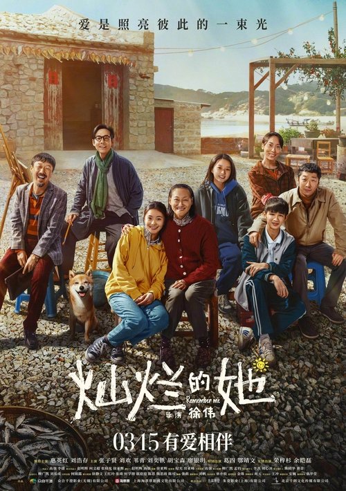 Póster de 灿烂的她