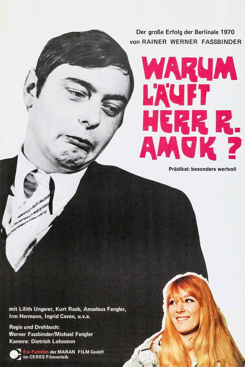 Póster de Warum läuft Herr R. Amok?