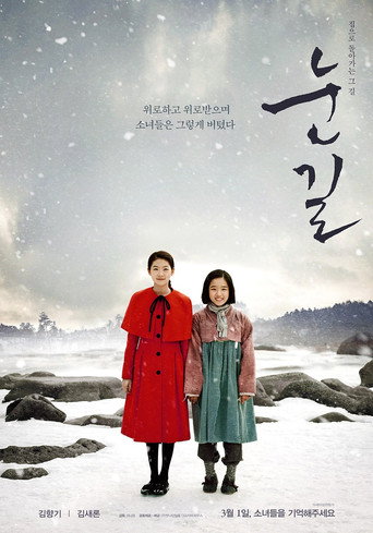 Póster de Snowy Road