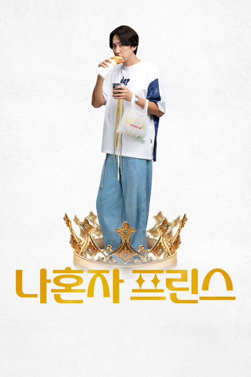 Póster de 나혼자 프린스