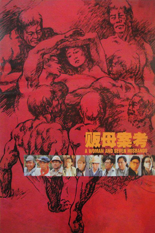 Póster de 販母案考
