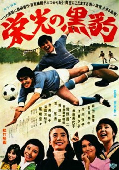 Póster de 栄光の黒豹