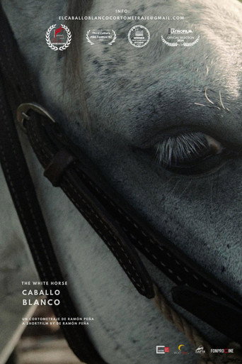 Póster de Caballo Blanco