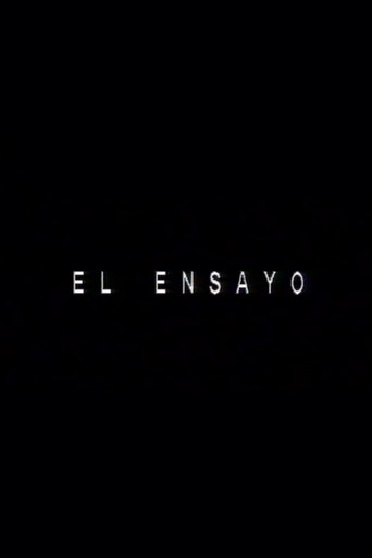 Póster de El ensayo