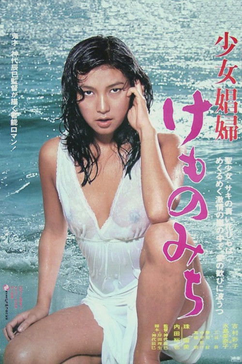 Póster de 少女娼婦 けものみち