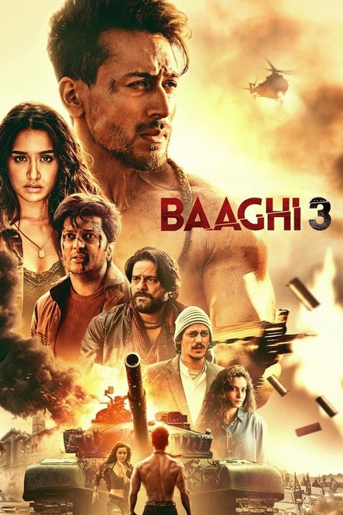 Póster de Baaghi 3