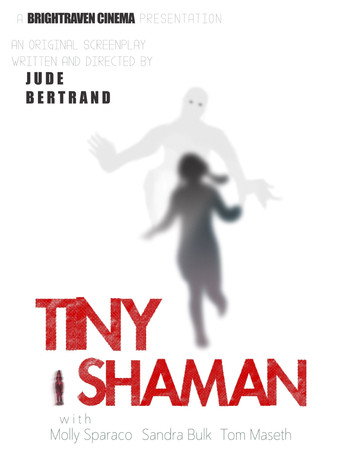 Póster de Tiny Shaman