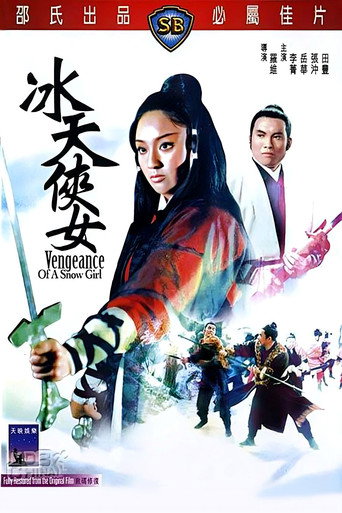Póster de 冰天俠女