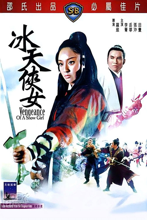 Póster de 冰天俠女