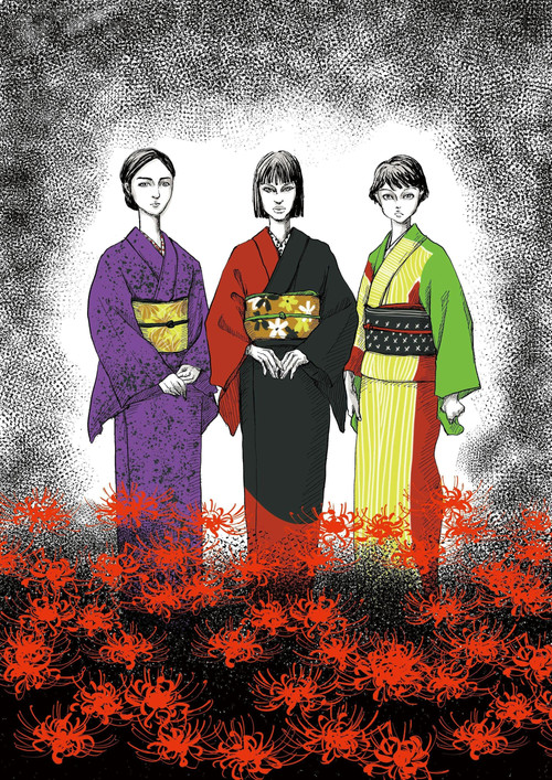 Póster de 彼岸の家
