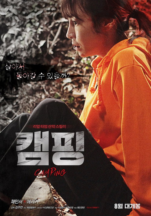 Póster de 캠핑