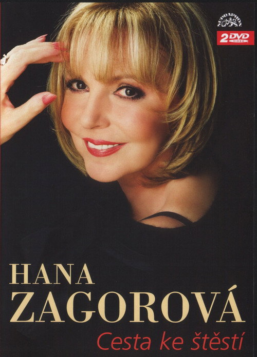 Póster de Cesta ke štěstí