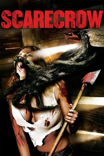 Póster de Scarecrow