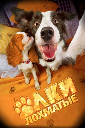 Póster de Mis Peludos Angelitos